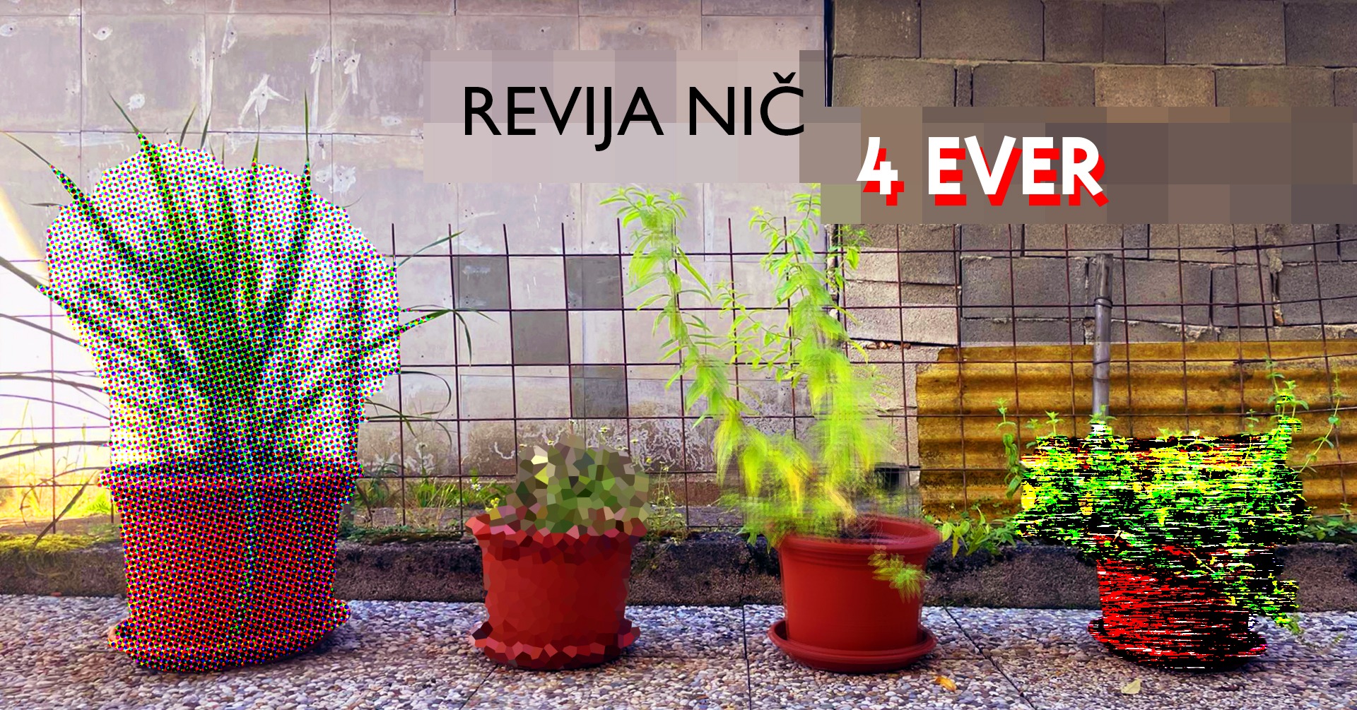 revijanic